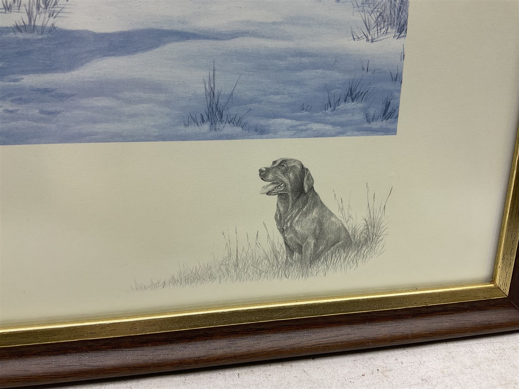 After Alan Ellison, limited edition colour print 'Working Springers' no.178/750 signed on the mount 43 x 59cm; and seven colour prints after Nigel Hemming of game birds and gun dogs; all framed (8)