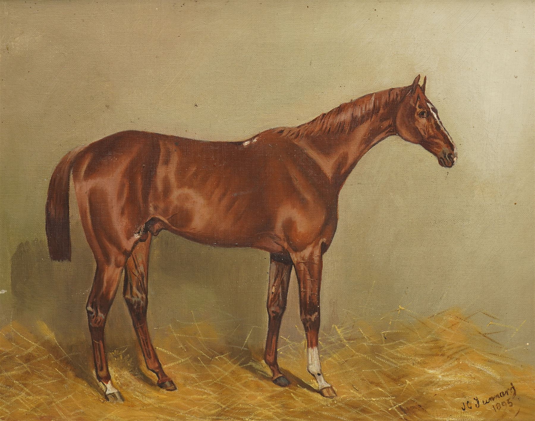 John Charles Tunnard (British 1873-1960): Horse Portrait of Chestnut Thoroughbred 'Malchus' in Stable, oil on canvas signed 1895, 34cm x 44cm