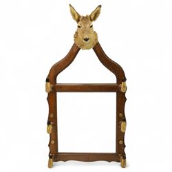 Early 20th-century taxidermy decorated wall-mounted gun rack, shaped oak frame fitted with used shotgun cases and mounted with hooves designed to hold shotguns horizontally, surmounted with a taxidermy deer head 