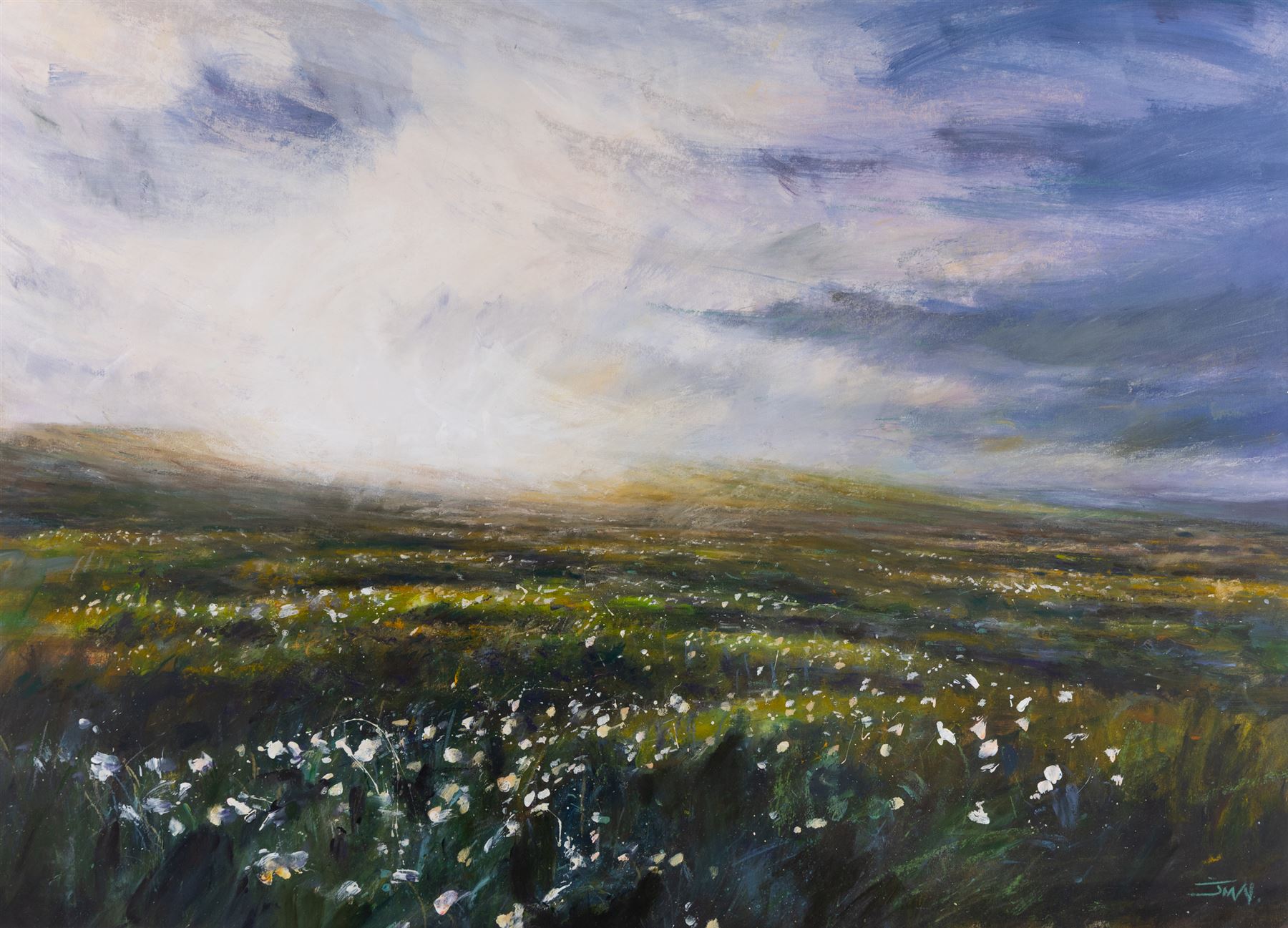 Jim Miller Wright (Scottish 1954-): 'Cotton Grass on Farndale Moor' North York Moors, oil signed with monogram, titled verso 51cm x 72cm 