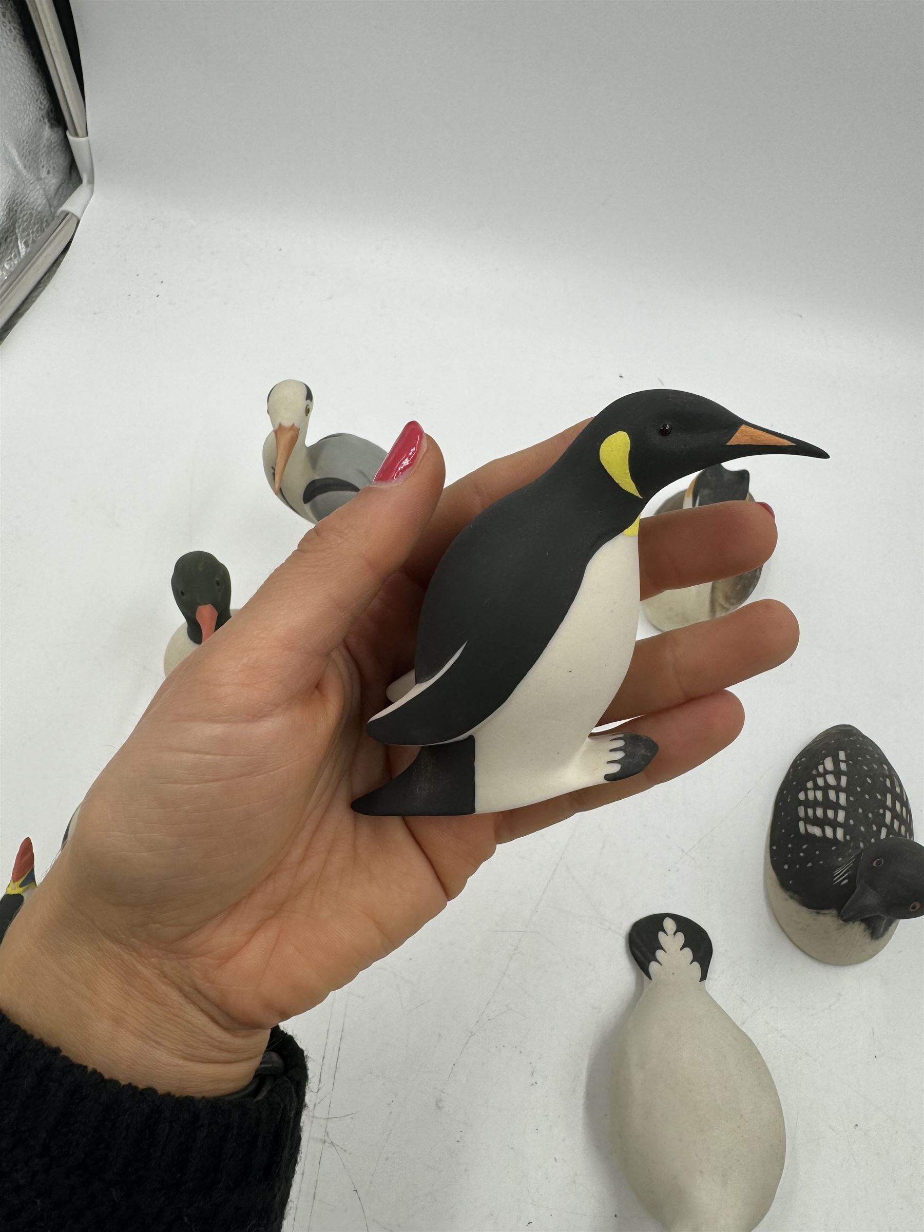 Group of eleven Scottish 'Isle of Arran' bisque porcelain birds, to include Great Northern Diver, Eider, great Crested Greebe, Artic Tern, King Penguin, etc.
