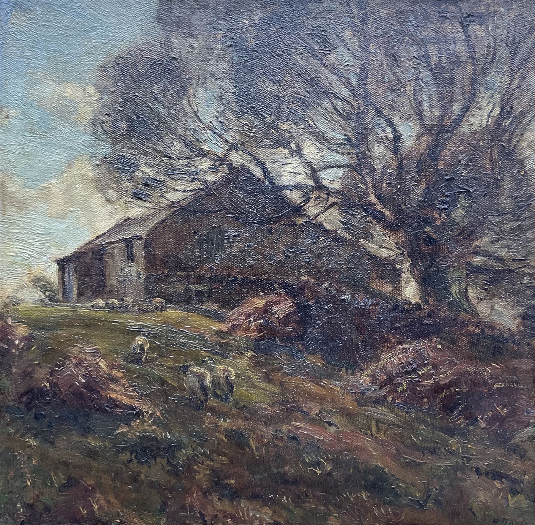 Herbert F Royle (British 1870-1958): Hilltop Barn with Sheep Grazing, oil on canvas signed 45cm x 45cm