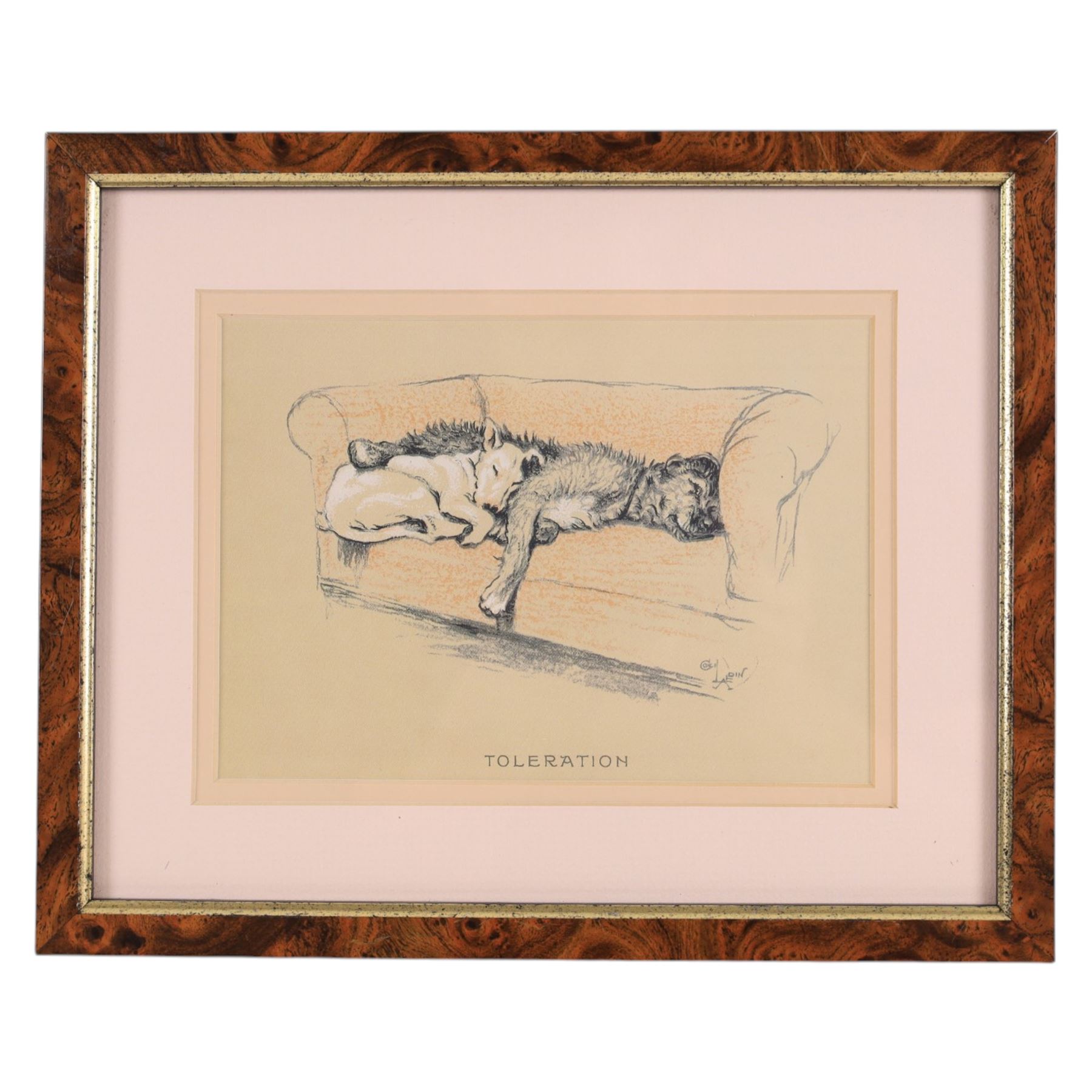 Continental School (Early 20th century): Portrait of a Young Man, watercolour and pencil unsigned 50cm x 30cm; After Cecil Aldin (British 1870-1935): 'Trepidation' 'Resignation' & 'Toleration', set of three book plate prints 12.5cm x 18cm (4)