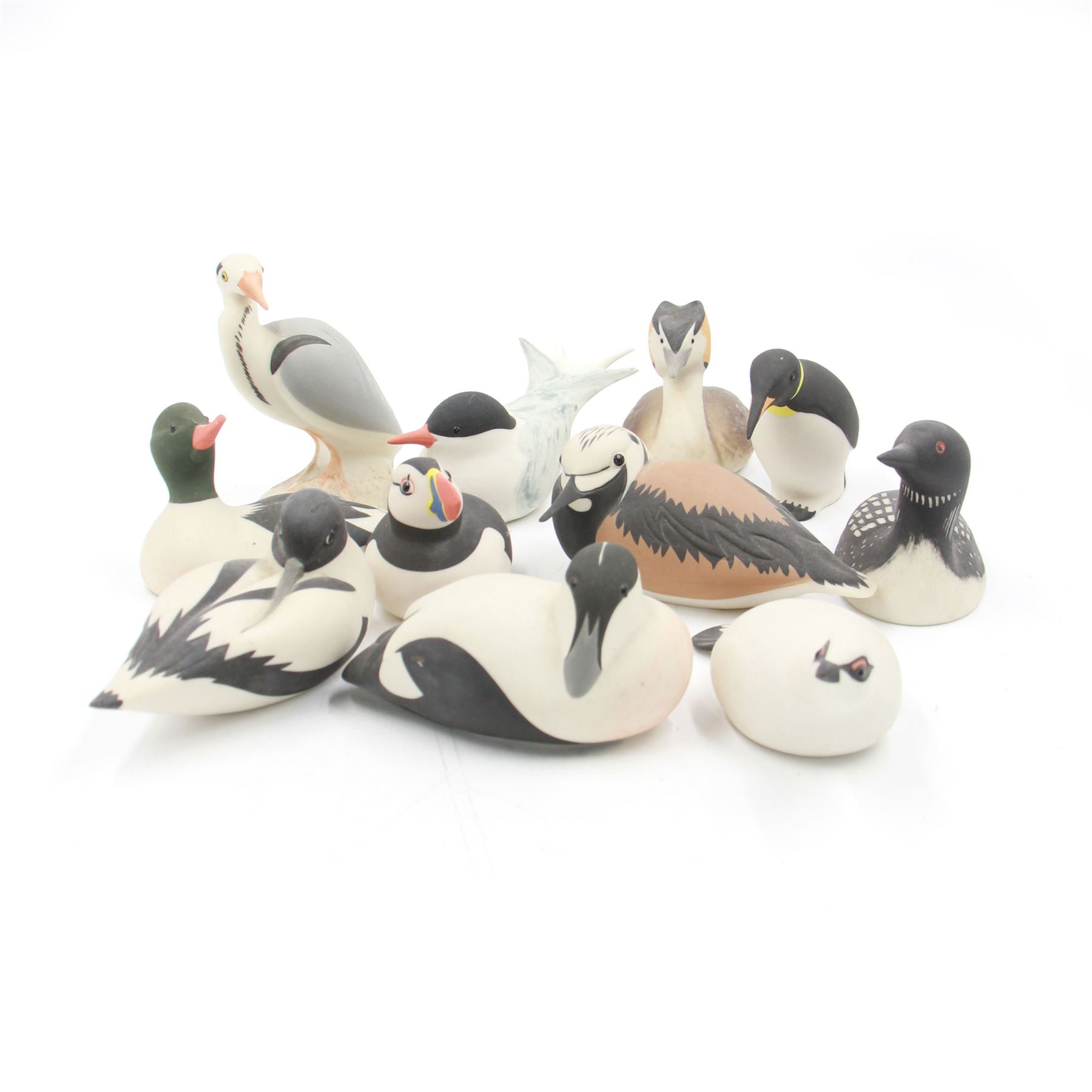 Group of eleven Scottish 'Isle of Arran' bisque porcelain birds, to include Great Northern Diver, Eider, great Crested Greebe, Artic Tern, King Penguin, etc.
