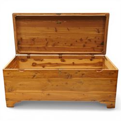 20th century American pine blanket chest, raised on bracket feet, makers label to interior