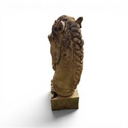 Large weathered cast stone horse head figure, raised on square plinth