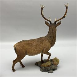 Country Artists Red Deer Stag and a Border Fine Arts Friesian Cow and Calf figure, Stag H30cm