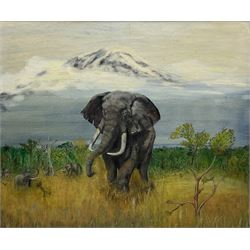 Brooke (20th century): African Elephant, oil on board signed and dated 1983, 50cm x 60cm
