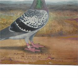 C H Wadsworth (British Early 20th century): Portrait of Champion Racing Pigeons - Messers Watton 'National Winner' & 'Shrubb', pair oils on board signed inscribed and dated 1910 & 1912, respectively 31cm x 41cm (2)
Notes: inscribed 'National Winner - 1st Northern section Bournemouth YB 1908' & 'Shrubb - 1st Banbury YD also SPL photo in oils Featherstone & Purston HS season 1912'