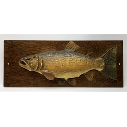 A George V plaster half block fishing trophy of a Trout, L83.5cm. 
