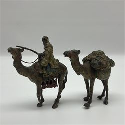 After Bergmann, two cold painted bronze figures, both modelled as a camel, tallest H7cm