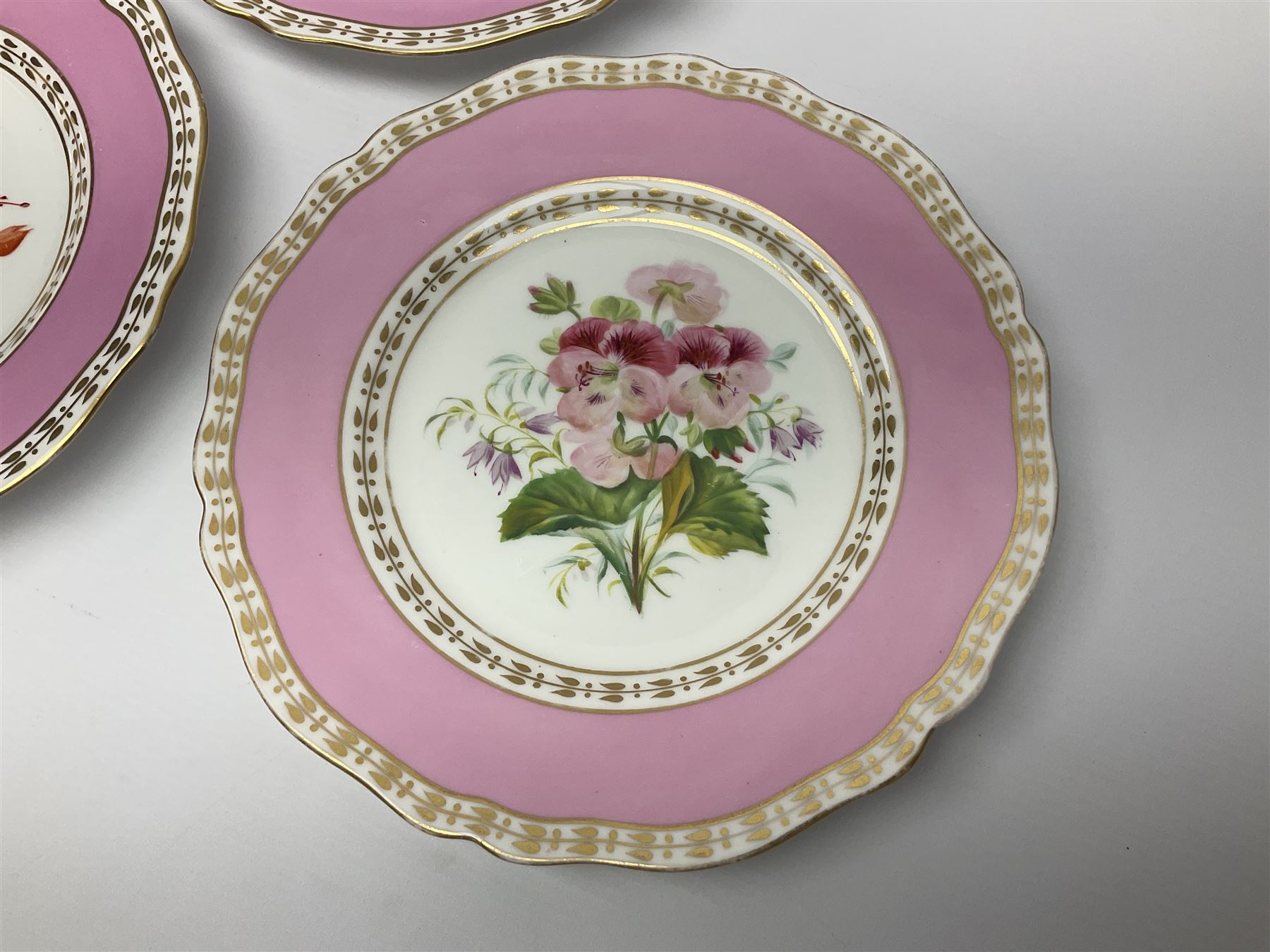 Victorian Copeland, Botanical dessert service, decorated with floral sprigs to the centre with a pink and gilt border, comprising five comports and seven plates, largest comport H20cm, plate D22cm