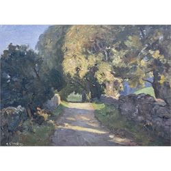 Albert George Stevens (Staithes Group 1863-1925): A Country Lane, oil on board signed 20cm x 28cm