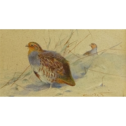  Charles Whymper (British 1853-1941): Partridge and Hares in Landscape, two watercolours signed with initials 8cm x 14cm  