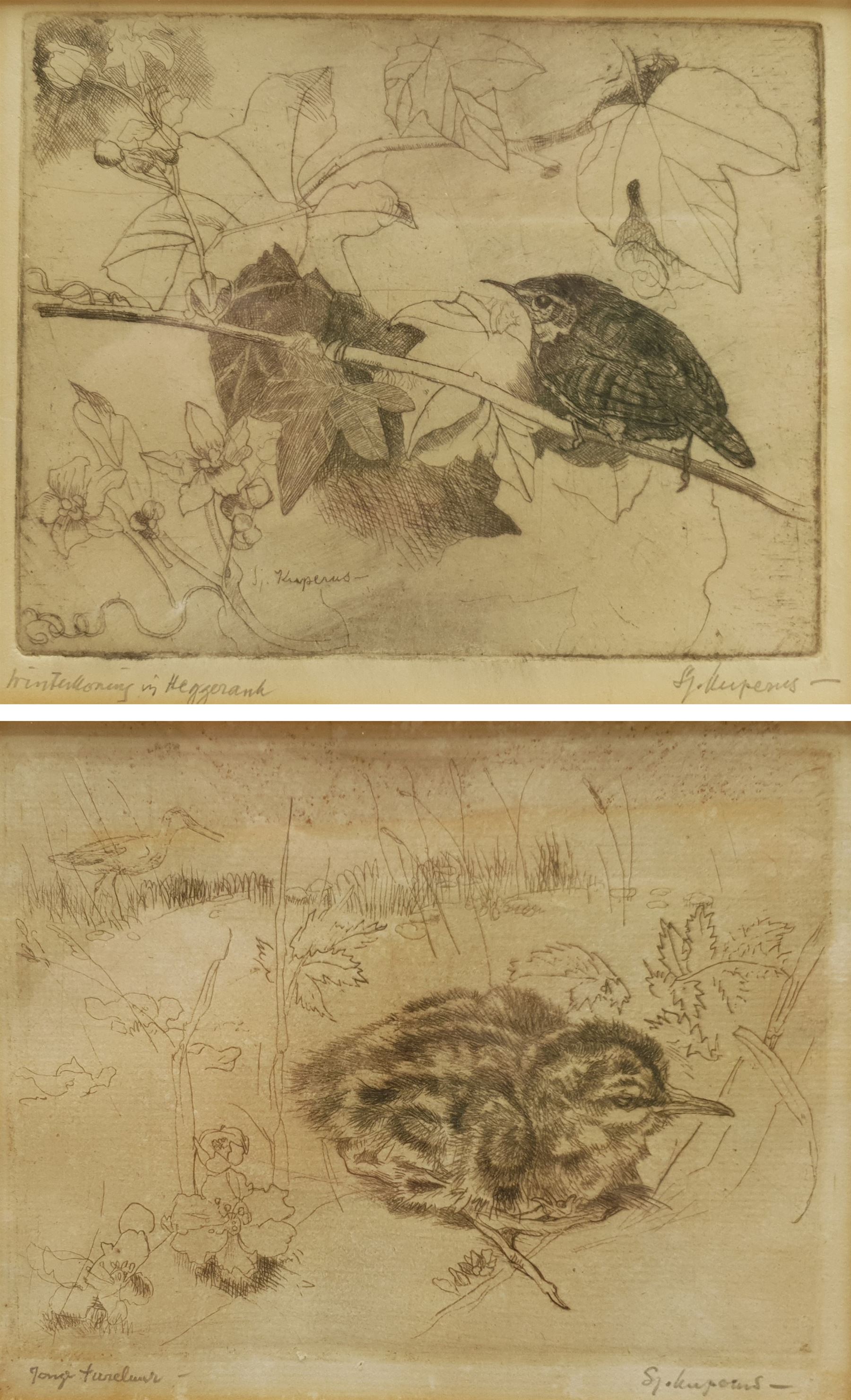 Sjoerd Kuperus (Dutch 1893-1988): Bird Studies, pair etchings signed and titled in pencil 10cm x 12cm and 11cm x 13cm (2)