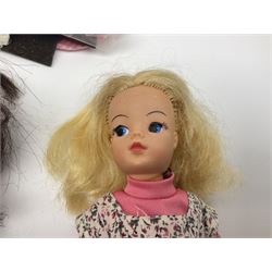 Six fashion dolls by Amanda Jane, Sindy and Barbie with various outfits, clothing and footwear