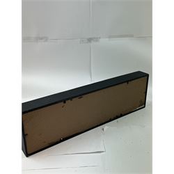 Entomology: Single glazed display of insects, circa 20th century, single glazed display containing five various specimens, comprising South American Tarantula, two specimens of Tarantula Hawk Wasp, Asian Hornet and Common Wood Wasp, pinned upon foam backing, enclosed within a glazed ebonised display case, H74cm, L24cm