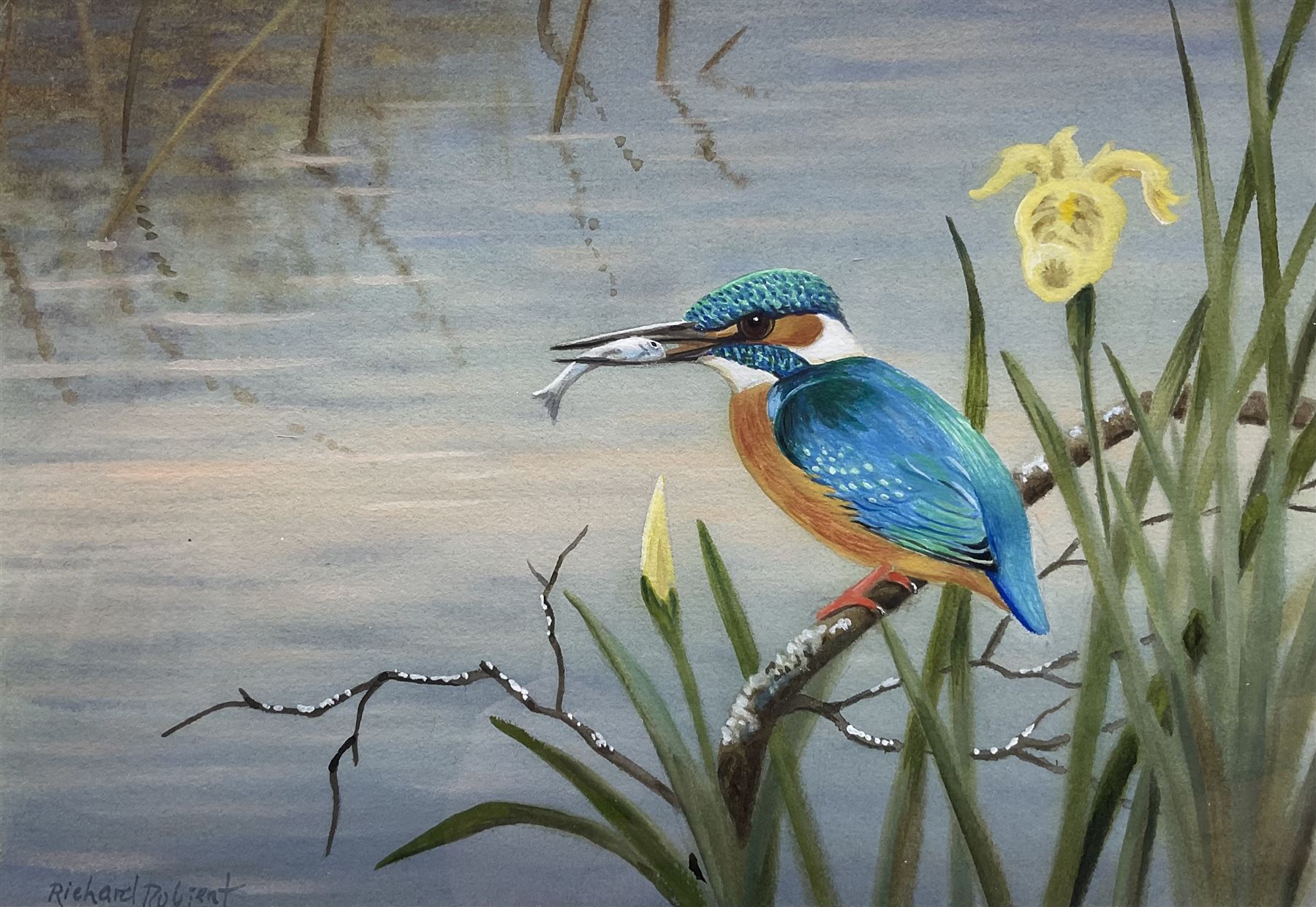 Richard Robjent (British 1937-): 'King Fisher and Flag', watercolour signed, titled and dated 2002 verso 17cm x 25cm 