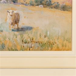 Owen Bowen (Staithes Group 1873-1967): Sheep Grazing, watercolour heightened in white signed and dated 1902, 37.5cm x 54cm 
Provenance: private collection, purchased David Duggleby Ltd 23rd March 2018 Lot 189