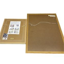 Andrew D Barlow (British contemporary): Man Riding Donkey, watercolour signed and dated 2005 together with Daphne Stevenson (British contemporary): Greenhouse Still Life, watercolour signed max 53cm x 35cm (2)