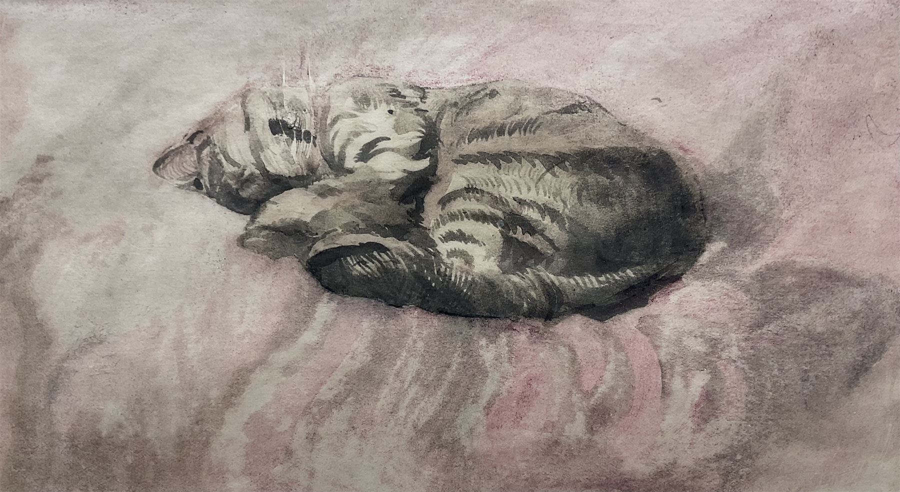Attrib. Gwen John (British 1876-1939): Tabby Cat Sleeping, watercolour unsigned 11.5cm x 21cm