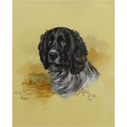  Reuben Ward Binks (British 1880-1950): ''Teddy' - Nawor Patrician, watercolour and gouache signed titled and dated 1925, 38cm x 31cm  DDS - Artist's resale rights may apply to this lot   
