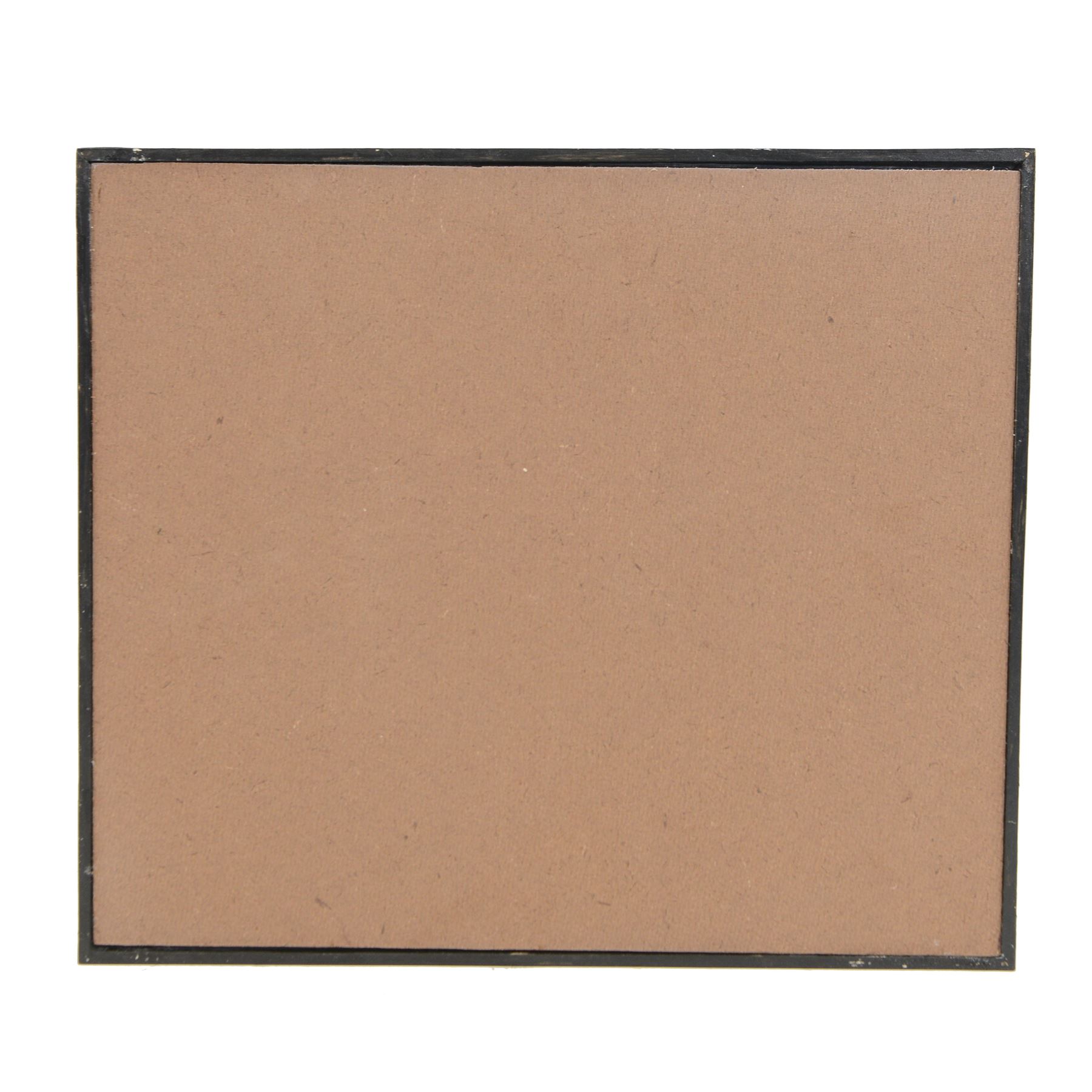 Entomology: Single glazed display of moths, circa 20th century, single glazed display containing forty nine various specimens, including Tiger Day Flying moth, Dysphania, Cyana Subalba, some with attached data labels, all pinned with named labels, enclosed within a glazed entomology drawer, H35cm, W45cm