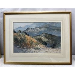 John Barrie Haste (British 1931-2011): Continental Landscape, watercolour signed 32cm x 49cm 