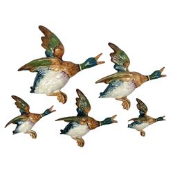 Set of five Beswick graduated wall mounting figures of flying ducks, models from 596/0 to 596/4, largest L29cm