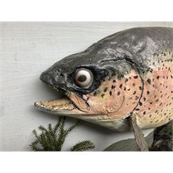 Taxidermy: Rainbow trout (Oncorchynchus mykiss), skin mount set above a pebbled river bed with reeds and grasses, set against blue painted back drop, H34cm, L88cm