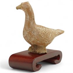 Chinese Tang Dynasty small carved terracotta figure of a goose, c.618AD-907AD, on scrolled red hardwood stand, H8cm 