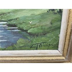 C Fleischmann? (German early 20th century): Forest Landscapes, pair oils on canvas laid on board indistinctly signed, one dated '28, 27cm x 35cm (2)