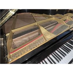 Yamaha - Baby Grand (5' 3