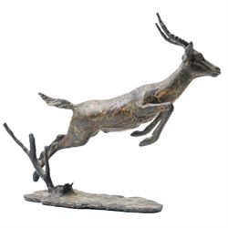 Bronze figure of a leaping impala, W20cm 