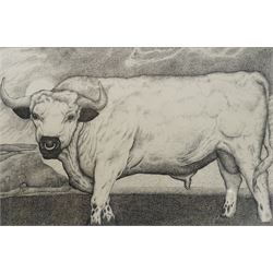 Seren Bell (Welsh 1950-): 'Chartley Park Bull', pen and ink signed and titled on labels ve...