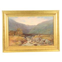 W G Tennie (19th/20th century): 'Sannox Glen Arran', oil on canvas laid on board signed and titled 34cm x 52cm; three other river landscape oils (4)