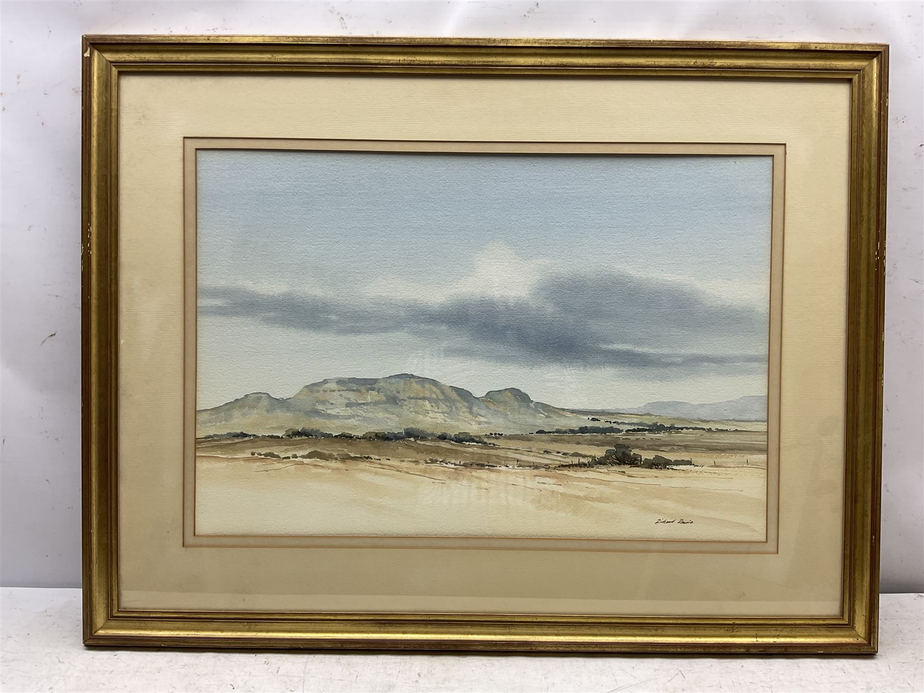 Richard Alexander Rennie (South African 1932-): Landscape with Distant Mountain, watercolour signed 45cm x 67cm