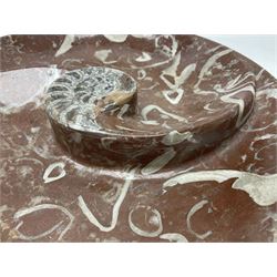 Large circular dish with a raised Goniatite to the centre and Orthoceras inclusion, age: Devonian period, location: Morocco, D30cm