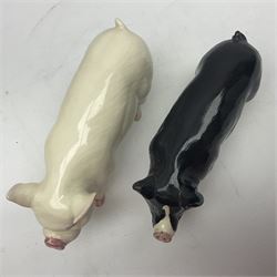 Two beswick rare breed pigs, comprising Middlewhite Boar No 4117 and Berkshire Boar No 4118, with printed marks beneath 