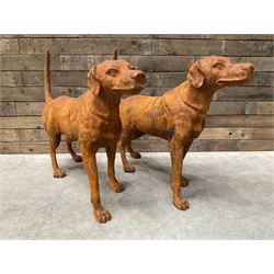 Pair of life-size heavy cast iron garden Hunting dogs