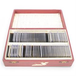 Four Nebro slide boxes containing a collection of photographic slides depicting landmarks, building interiors, train stations, etc, together with a Focal Point Filmstrips Century Series Visula Stimulation part 1 slide set, boxed