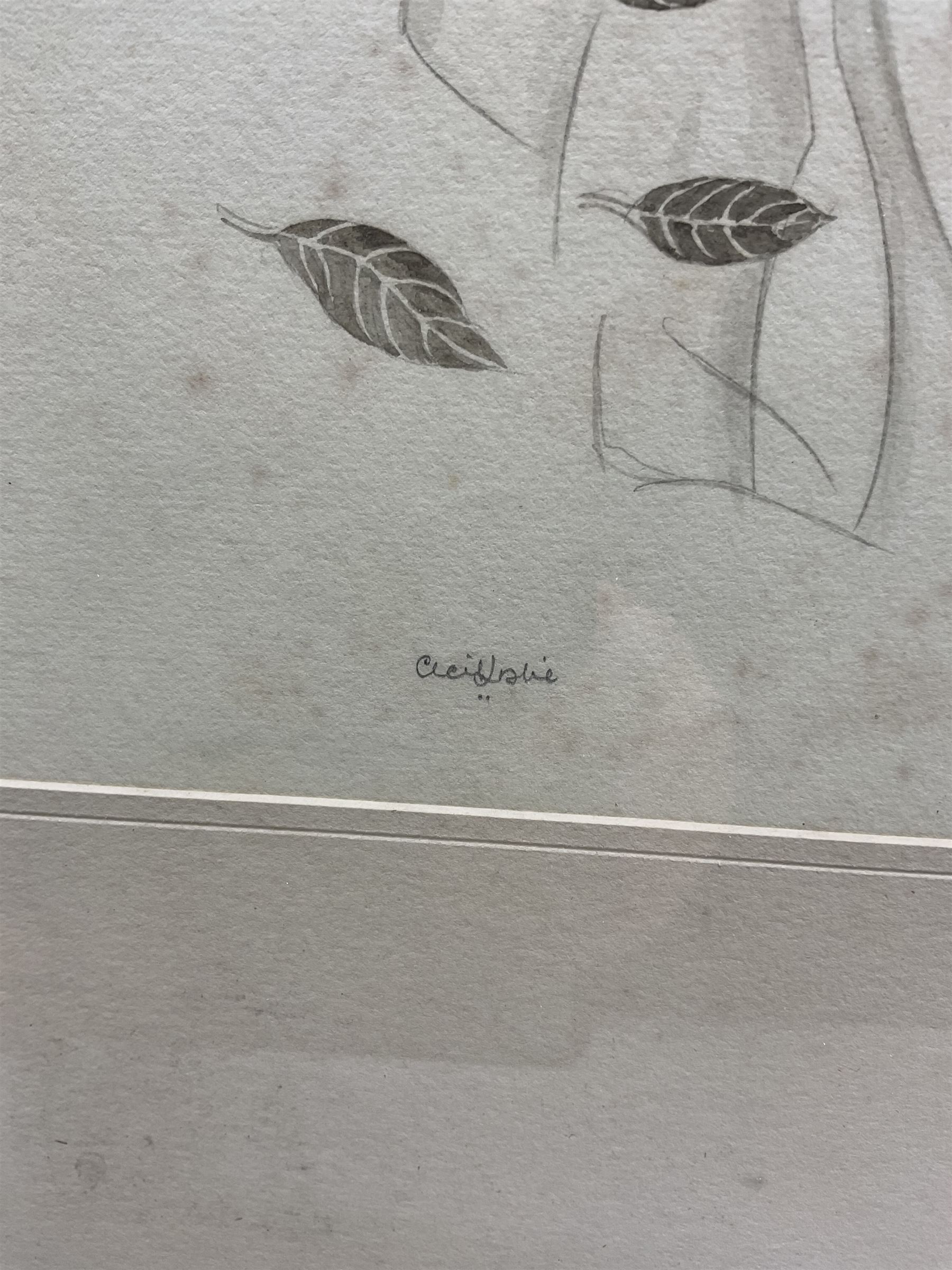 Cecil Mary Leslie (British 1900-1980): 'The Love Poem', pencil and watercolour signed, titled on gallery label verso 30cm x 29cm 
Provenance: with the Albany Gallery, Sackville Street, label verso