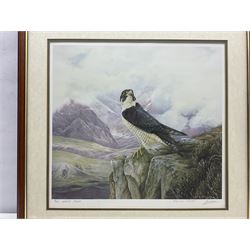 Rosemary H Coates (British Contemporary): 'The Middleton Hunt', limited edition print signed dated 2002 and numbered 35/150, 41cm x 59cm; John R Morris (20th century): Peregrine Falcon, artist's proof print signed and numbered 9/10 pub. 1990, 39cm x 42cm (2)