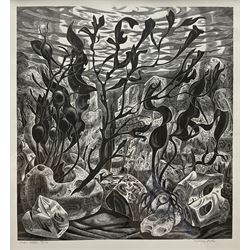 Monica Poole (British 1921-2003): 'Under