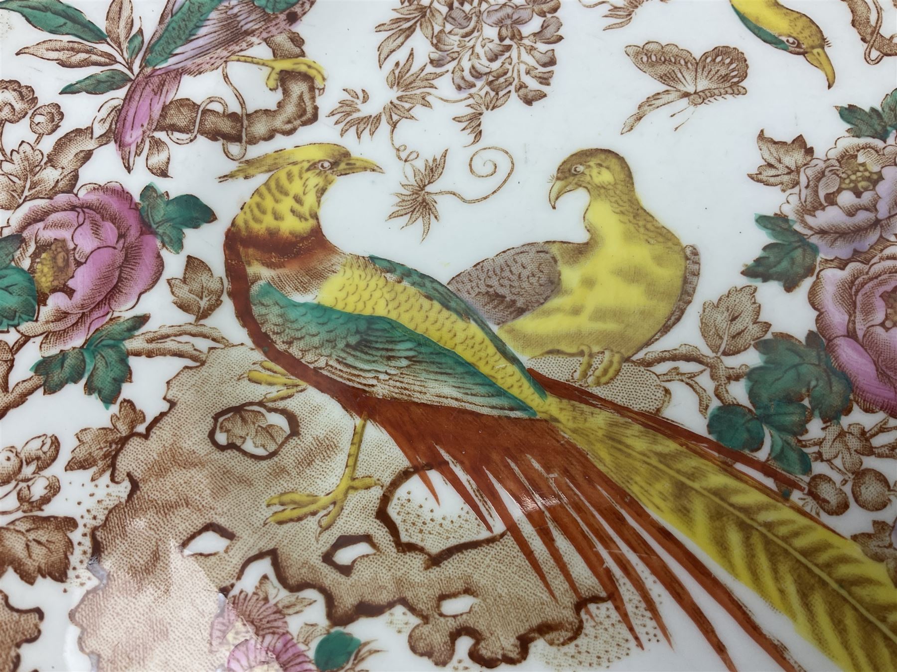 Five early 20th century Royal Crown Derby Olde Avesbury pattern dinner plates, decorated with oriental pheasants, butterflies and other birds amongst flowering branches, with impressed and printed marks to reverse, D26.5cm