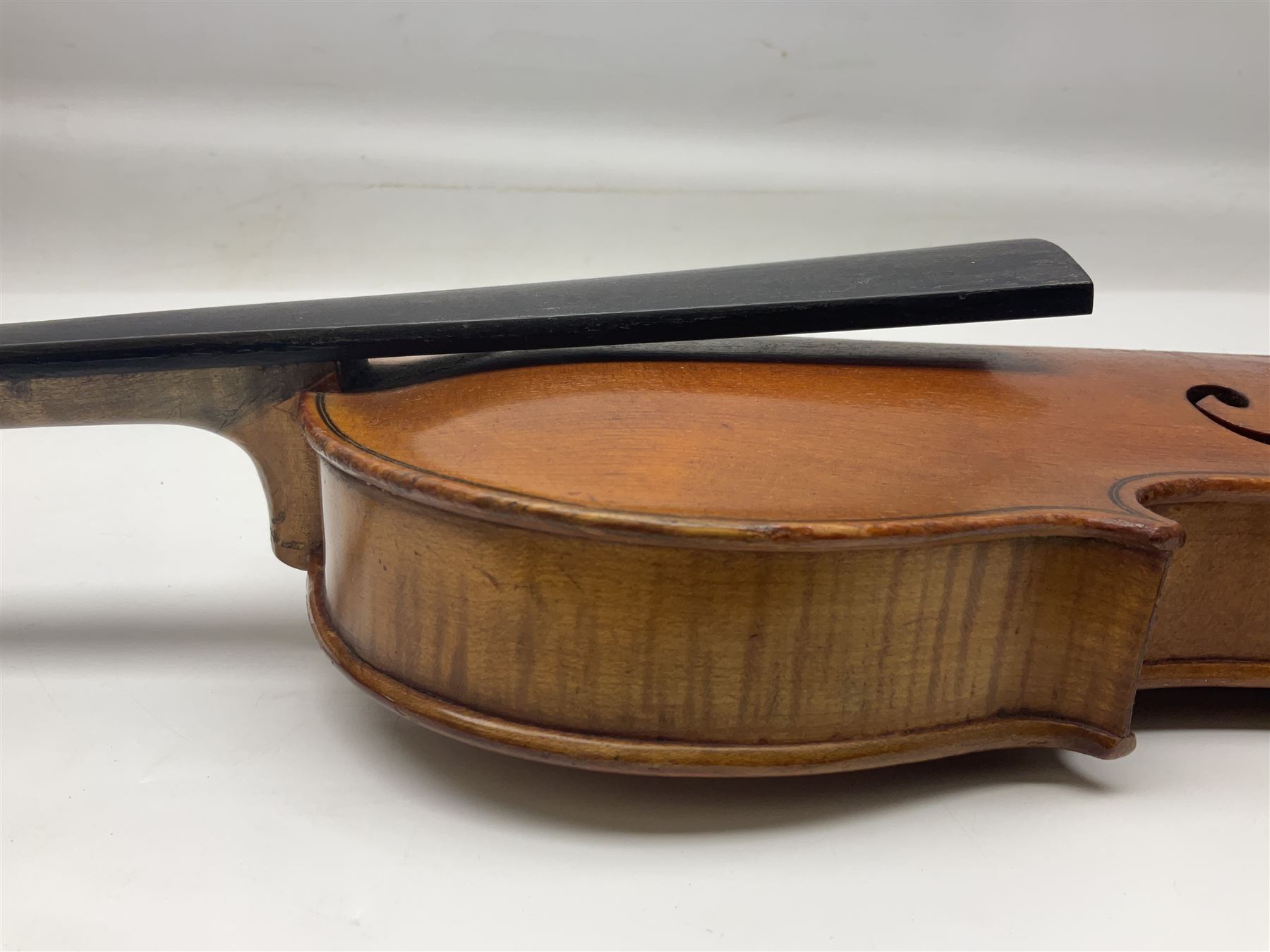 German violin c1900 stamped Stainer with 36cm two-piece maple back and ribs and spruce top L59.5cm overall; in simulated reptile skin carrying case