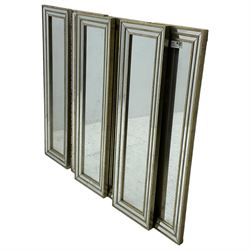 Six narrow rectangular wall mirrors