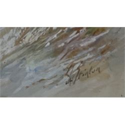 James Stinton (British 1870-1961): Pheasants and Grouse in Winter Landscapes, pair watercolours heightened in white signed 28cm x 16.5cm (2)