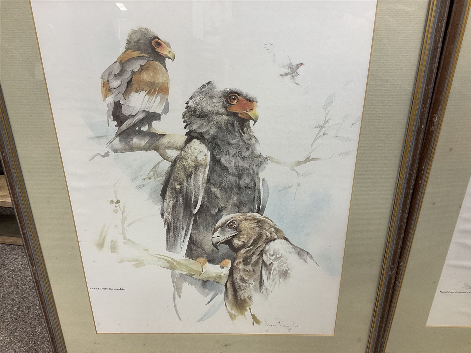 After Joan Beuche (South African 20th century) Eagles, set of six coloured prints (6)