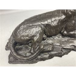 William Timym (1903-1990): Limited edition bronzed figure of a tiger, modelled in recumbent pose, the base signed and numbered 64/250 and signed W. Timym, L43cm